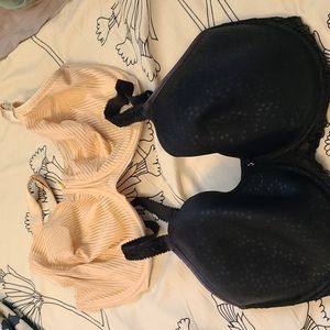Fantasie bras 32GG